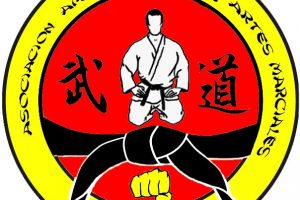 Aikido en la Asociación de Amigos Artes Marciales