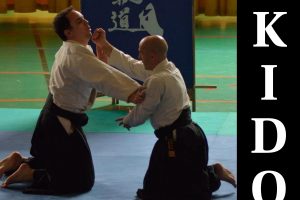 I Curso Aikido IMAF