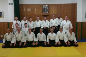 Crónica Curso Vicente Borondo 5º Dan Aikikai