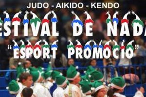 FESTIVAL AIKIDO Y JUDO INFANTIL 2015