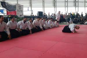 Crónica Exhibición de Aikido en Komodo No Hi