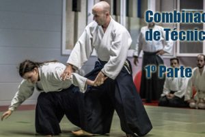 Técnicas combinadas – 1º Parte