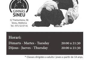 Clase Especial abierta de Aikido