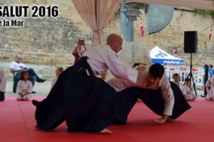 Aikido en Fit Salut 2016