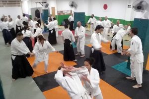 Jornada de puertas abiertas – AIKIDO