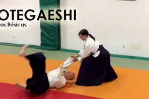 Clase 8 – Caídas para Kotegaeshi