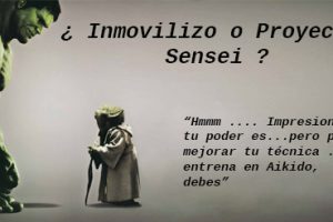 Clase 9 – ¿ Inmovilizo o Proyecto Sensei ?