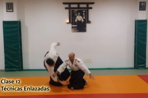 Clase 12 Técnicas enlazadas