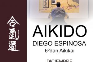 Curso Aikido en Palma