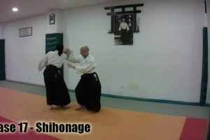 Clase 17 – Yokomen Uchi Shihonage