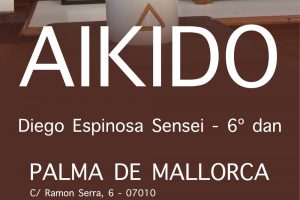 Curso Solidario de Aikido