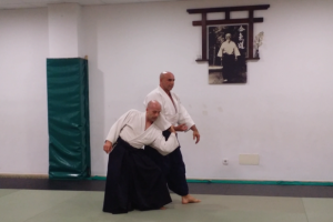 Seminario Aikido por Jorge Guillén Sensei 6º Dan Aikikai