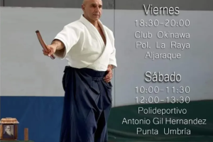 Seminario Aikido Jorge Guillen 6º Dan Aikikai, Huelva